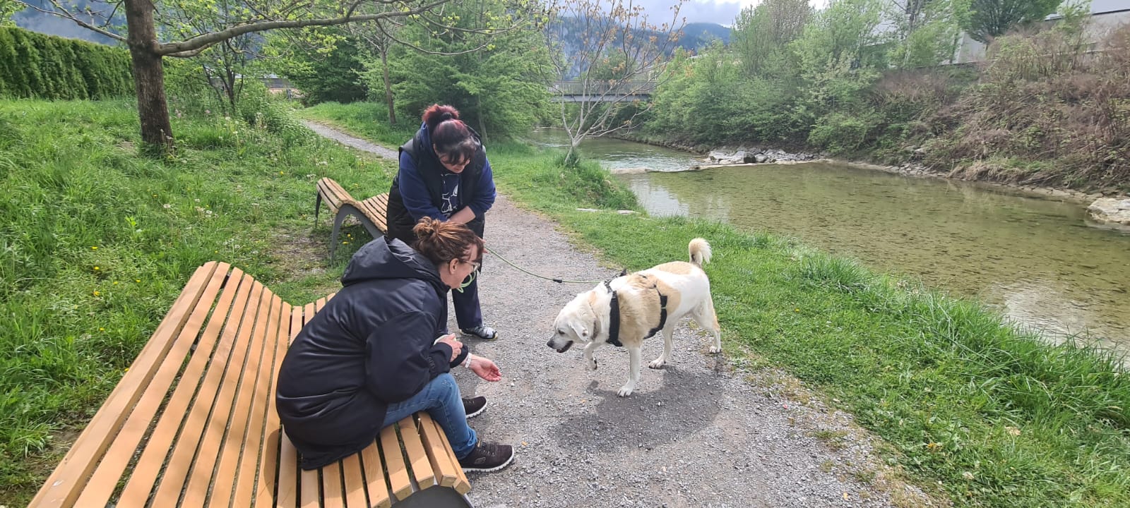Zwei Menschen mit einem Hund bei der Fährtensuche/Training.